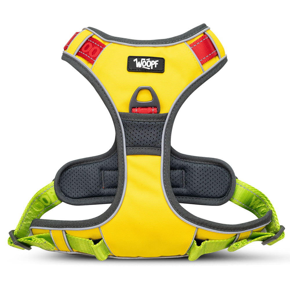 Explorer Harness, Yellow