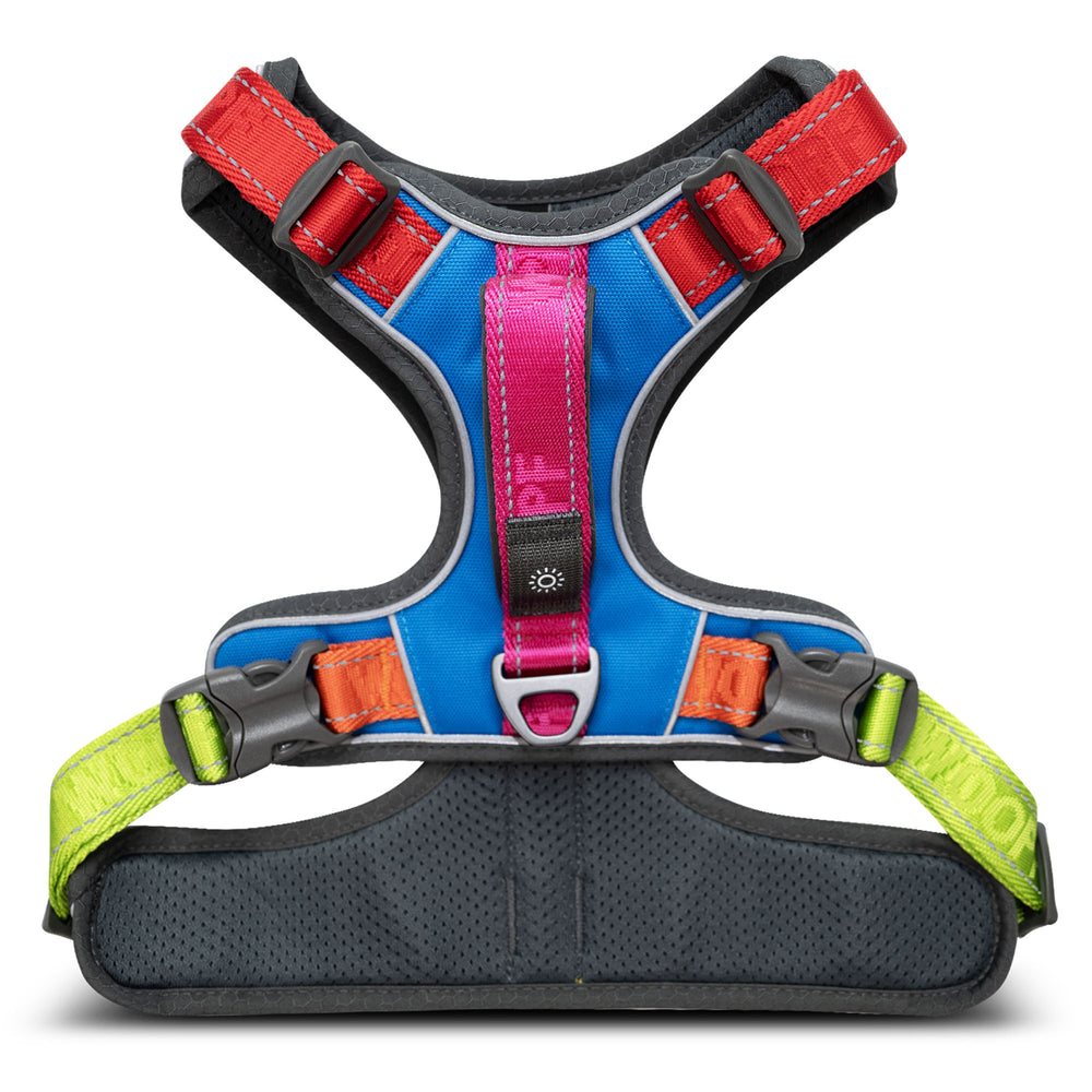 Explorer Harness, Rainbow