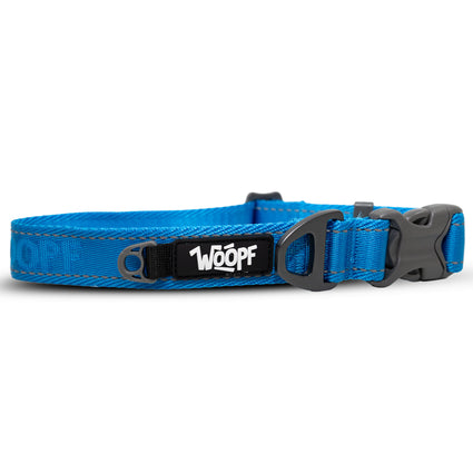 Collar Explorer