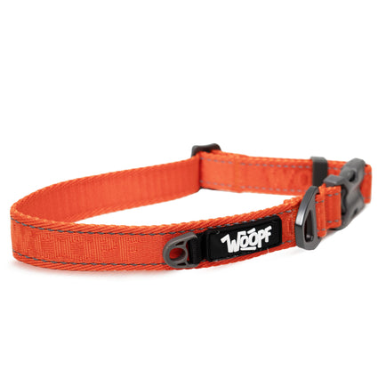 Explorer Collar