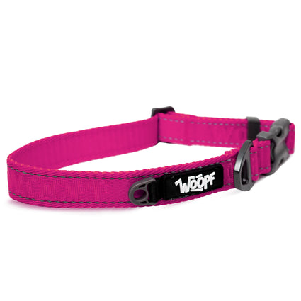 Explorer Collar