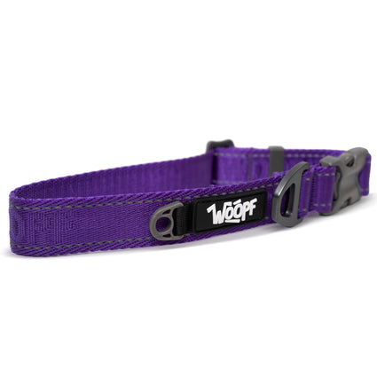 Explorer Collar