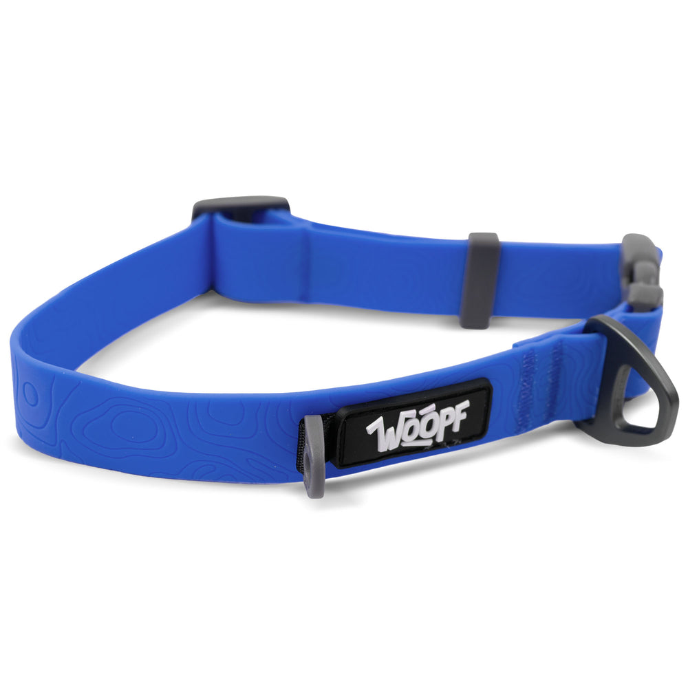 Sealskin Collar, Blue