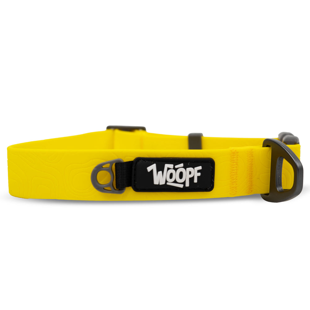 Sealskin Collar, Yellow
