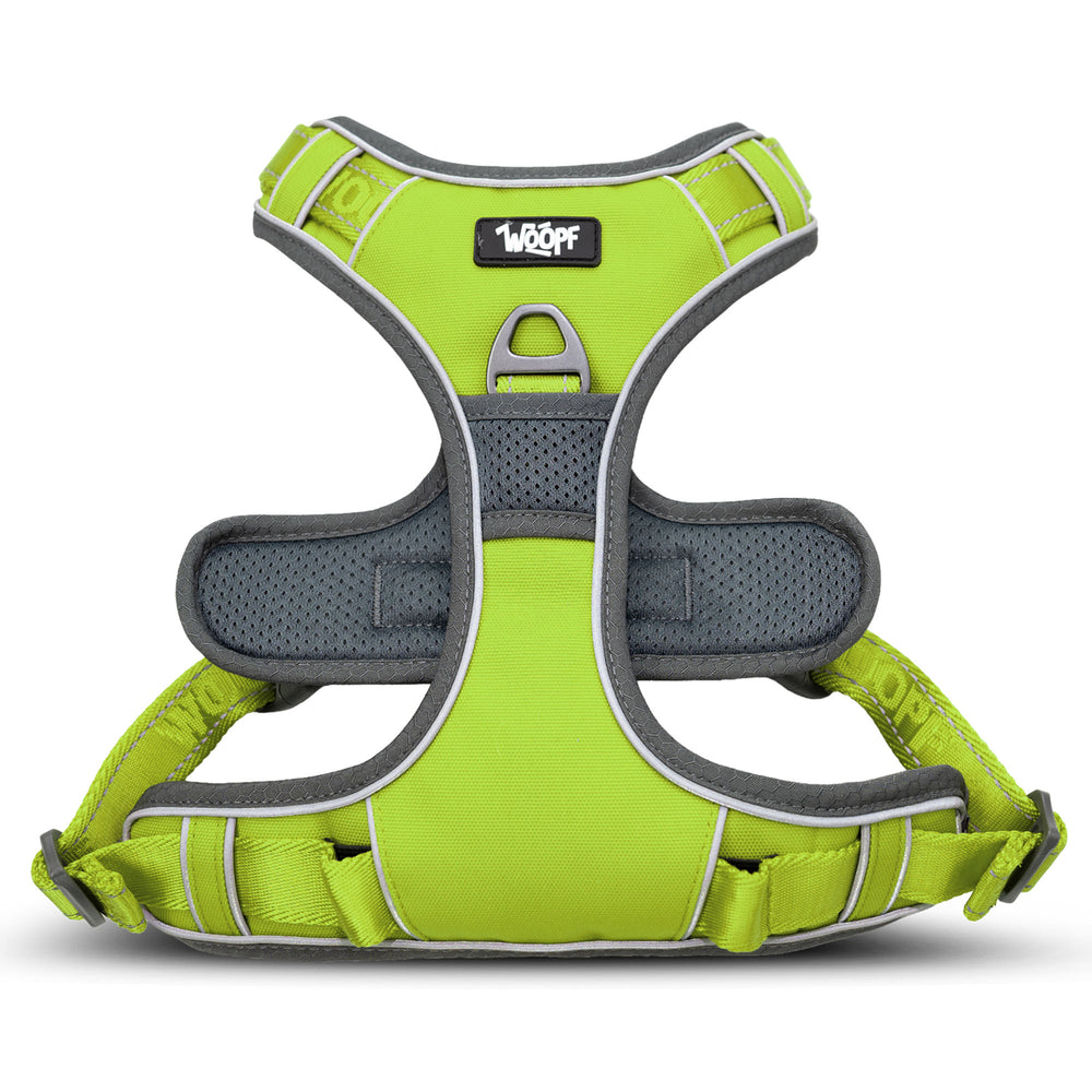 Explorer Harness, Green