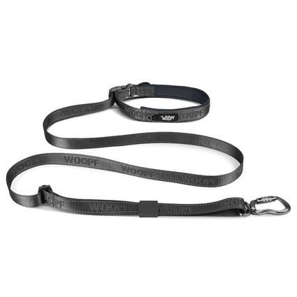 Explorer Adjustable Leash