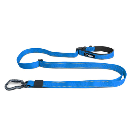 Correa Extensible Explorer
