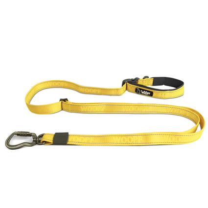 Correa Extensible Explorer