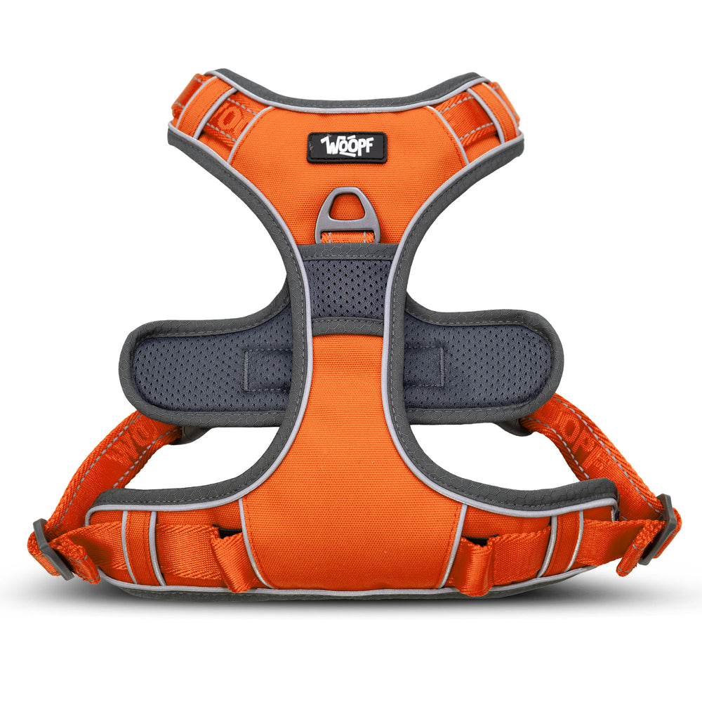 Explorer Harness, Orange