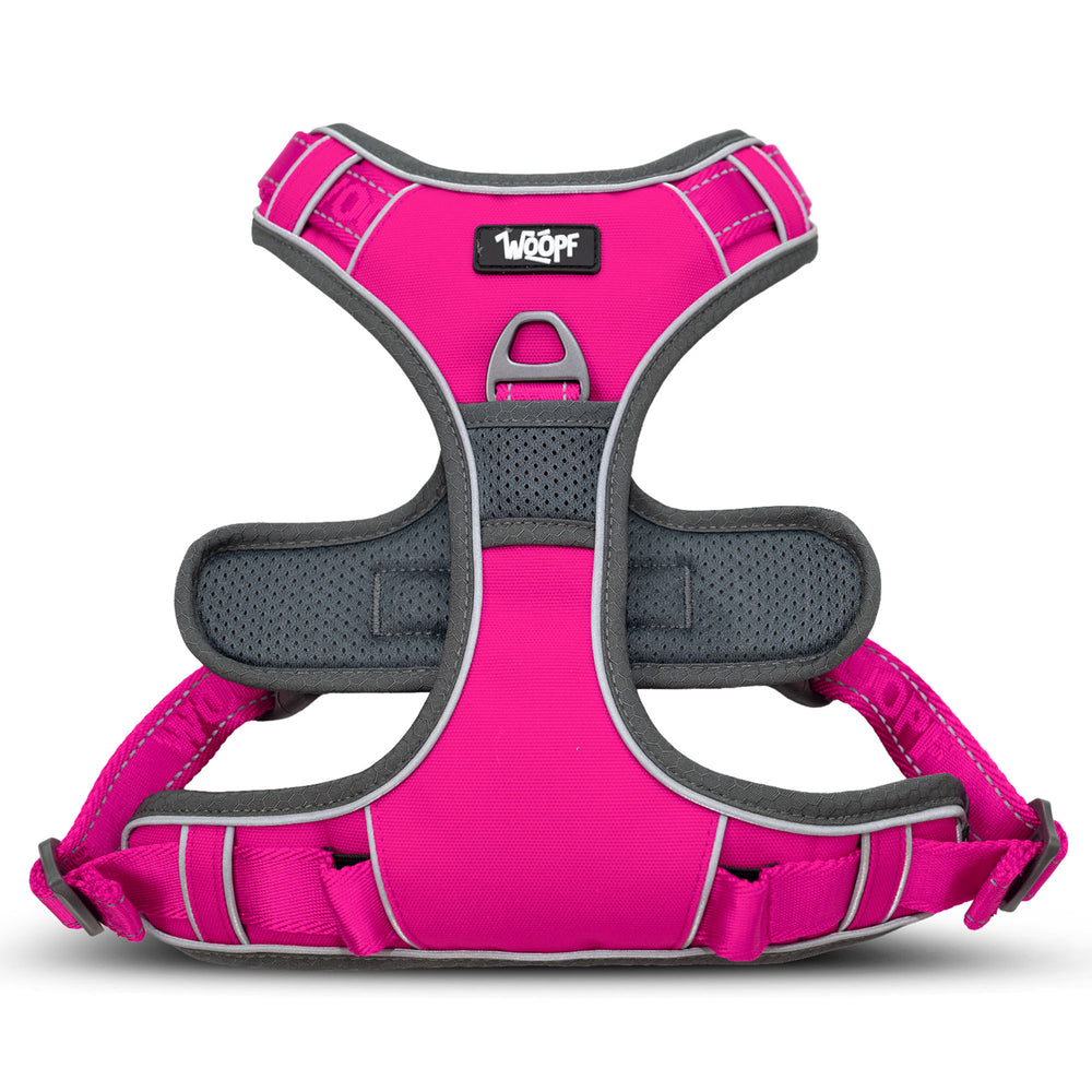 Explorer Harness, Pink