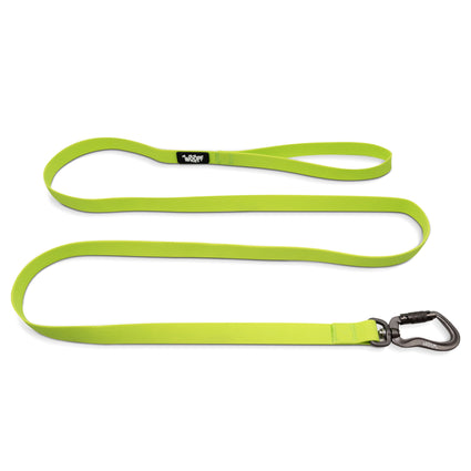 Sealskin Leash
