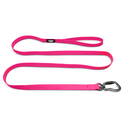 Sealskin Leash