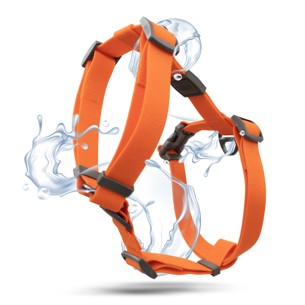 Sealskin Harness, Orange