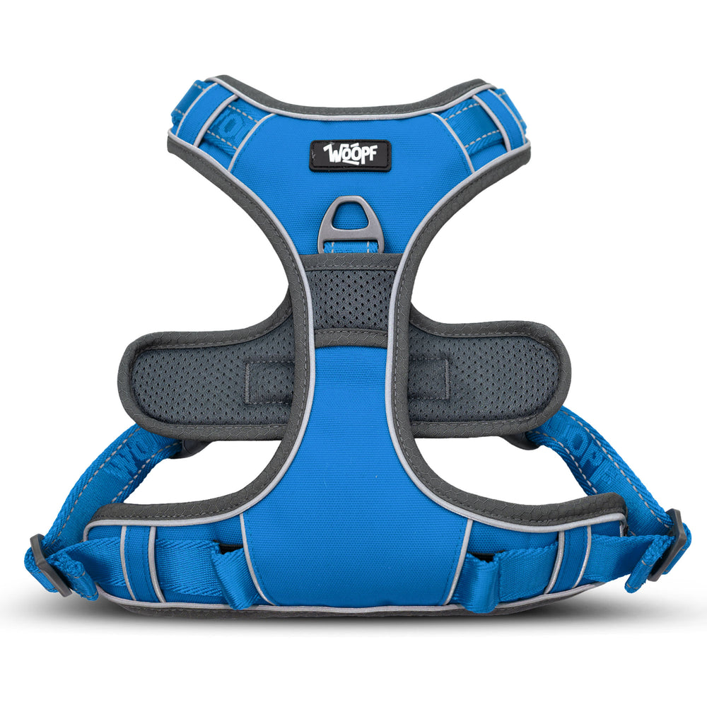 Explorer Harness, Blue