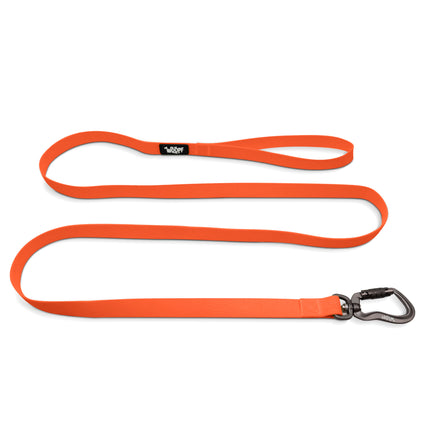Sealskin Leash