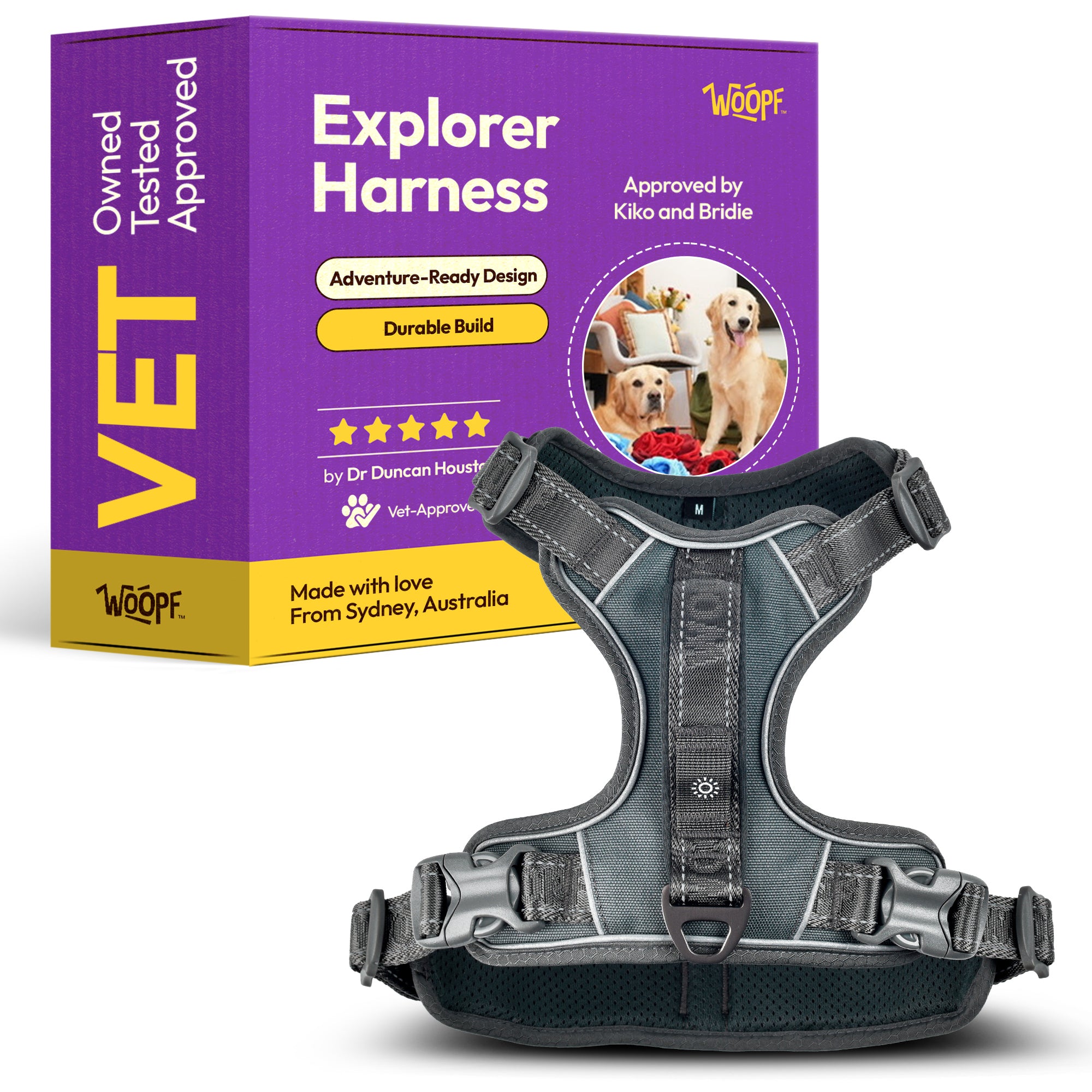 EXCITED PULLER WALK BUNDLE – Excited Explorer Edition