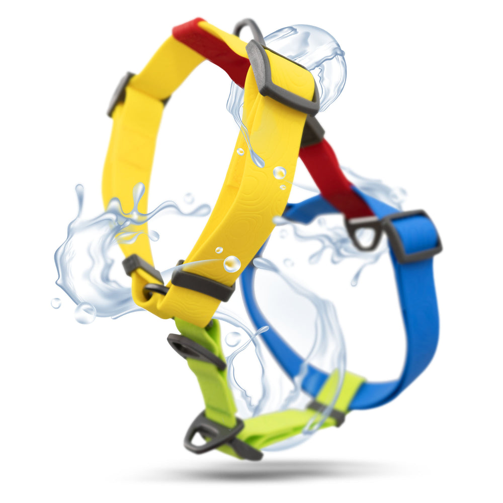 Sealskin Harness, Rainbow