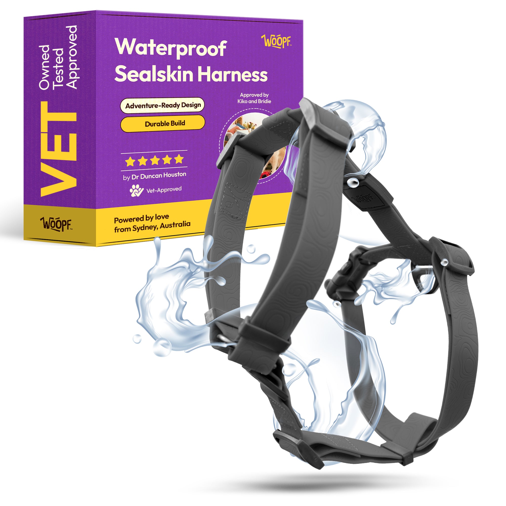 Arnés Explorador Antitirones