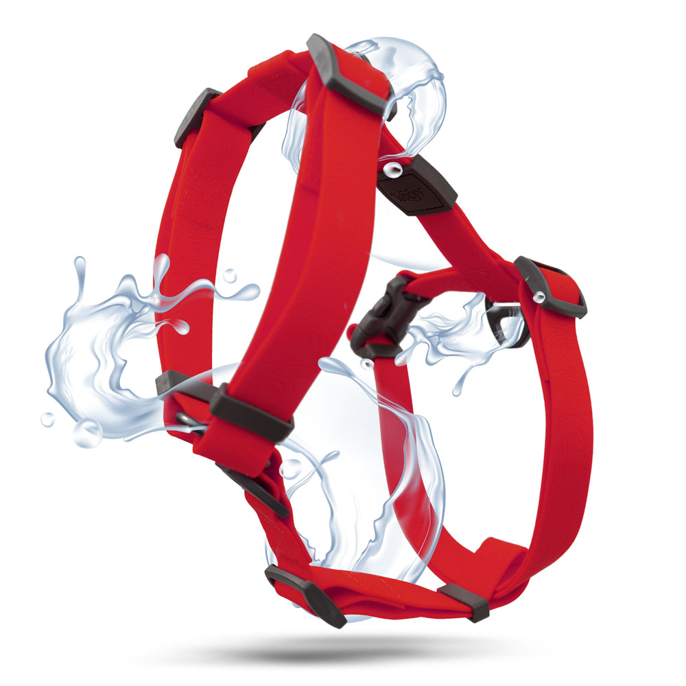 Sealskin Harness, Red