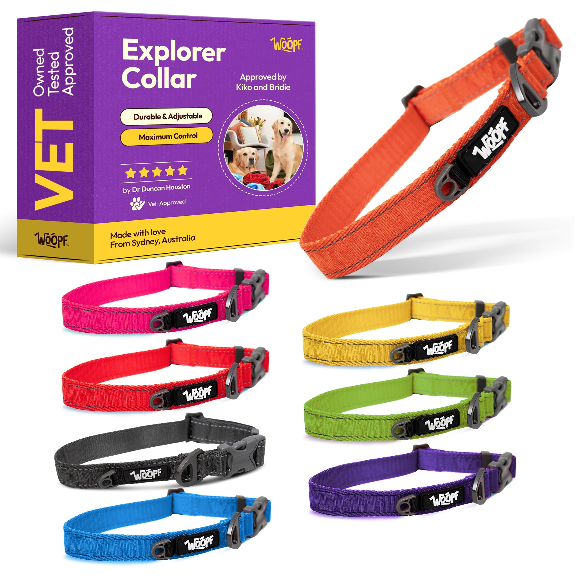 Explorer Collar