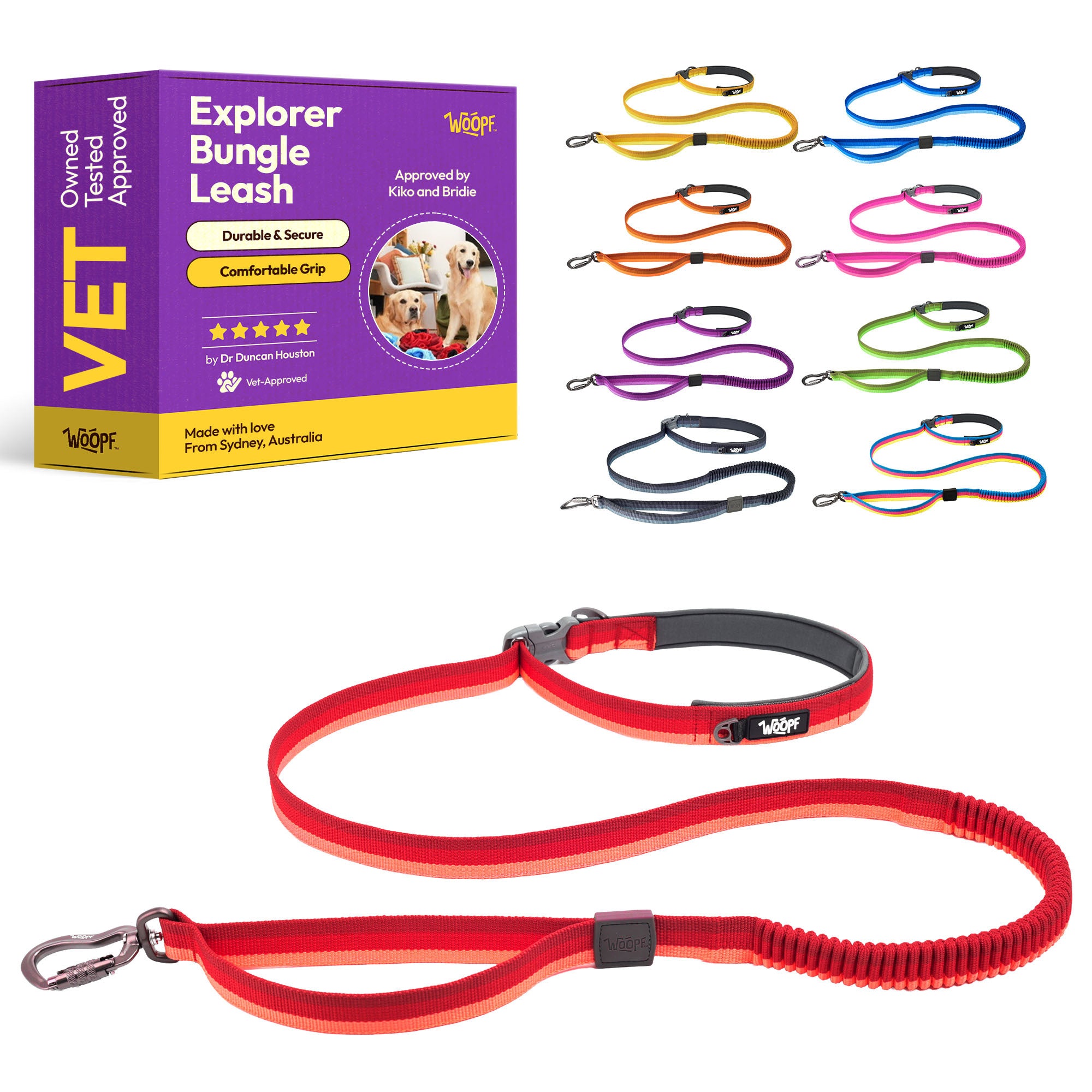 Explorer Bungee Leash