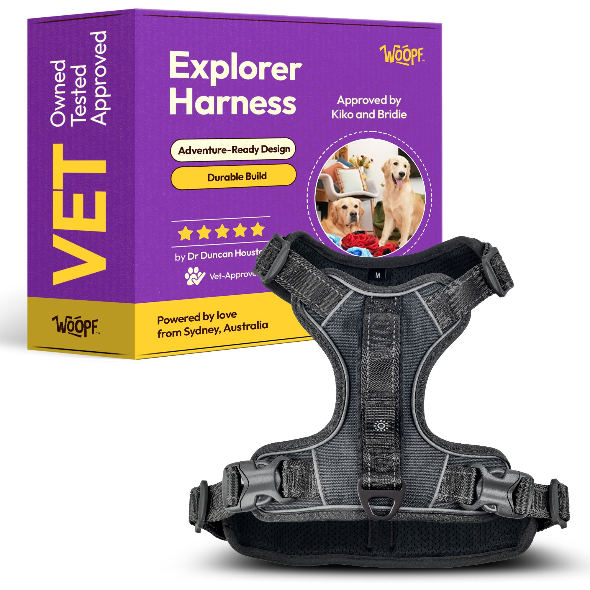 Explorer No-Pull Harness