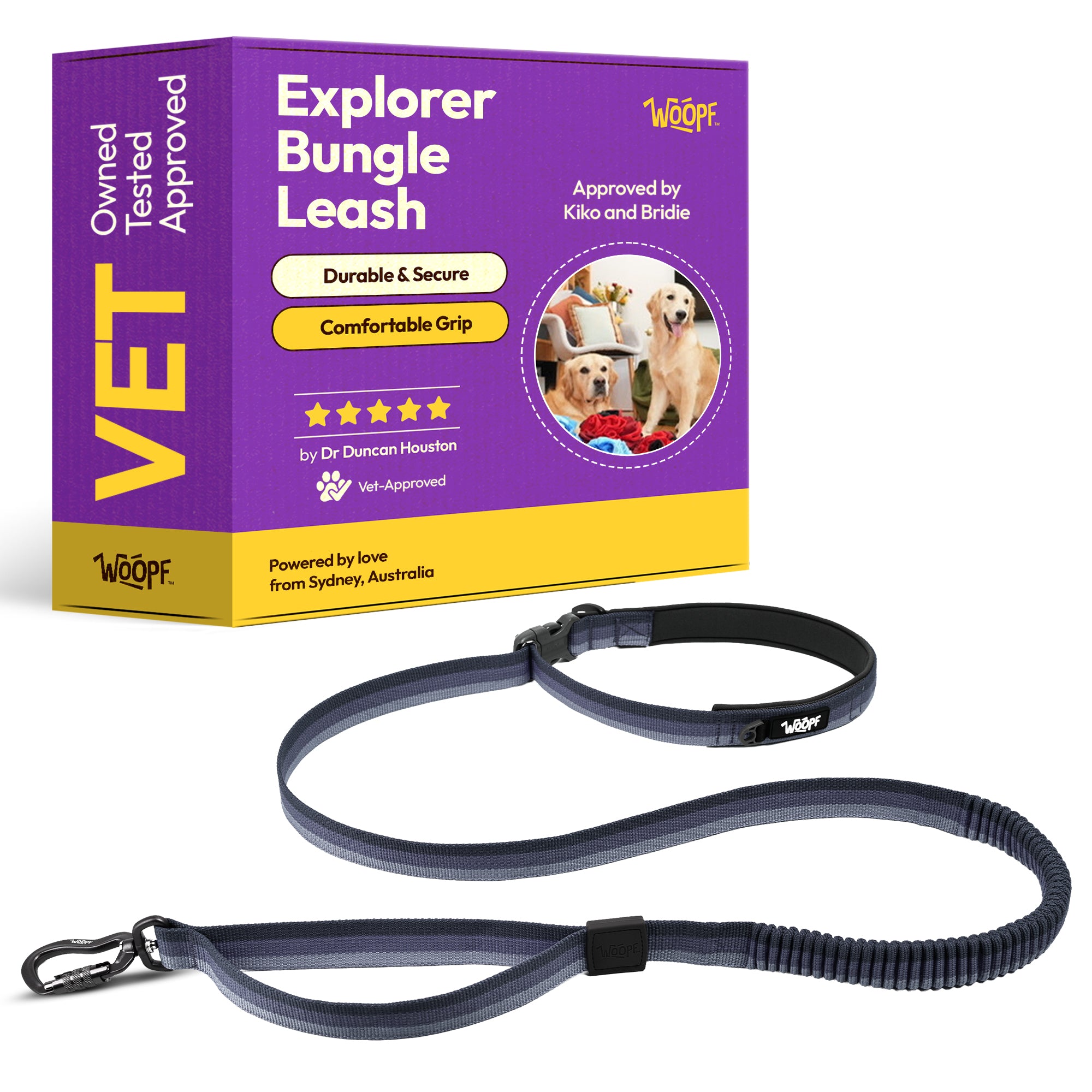 Explorer Bungee Leash