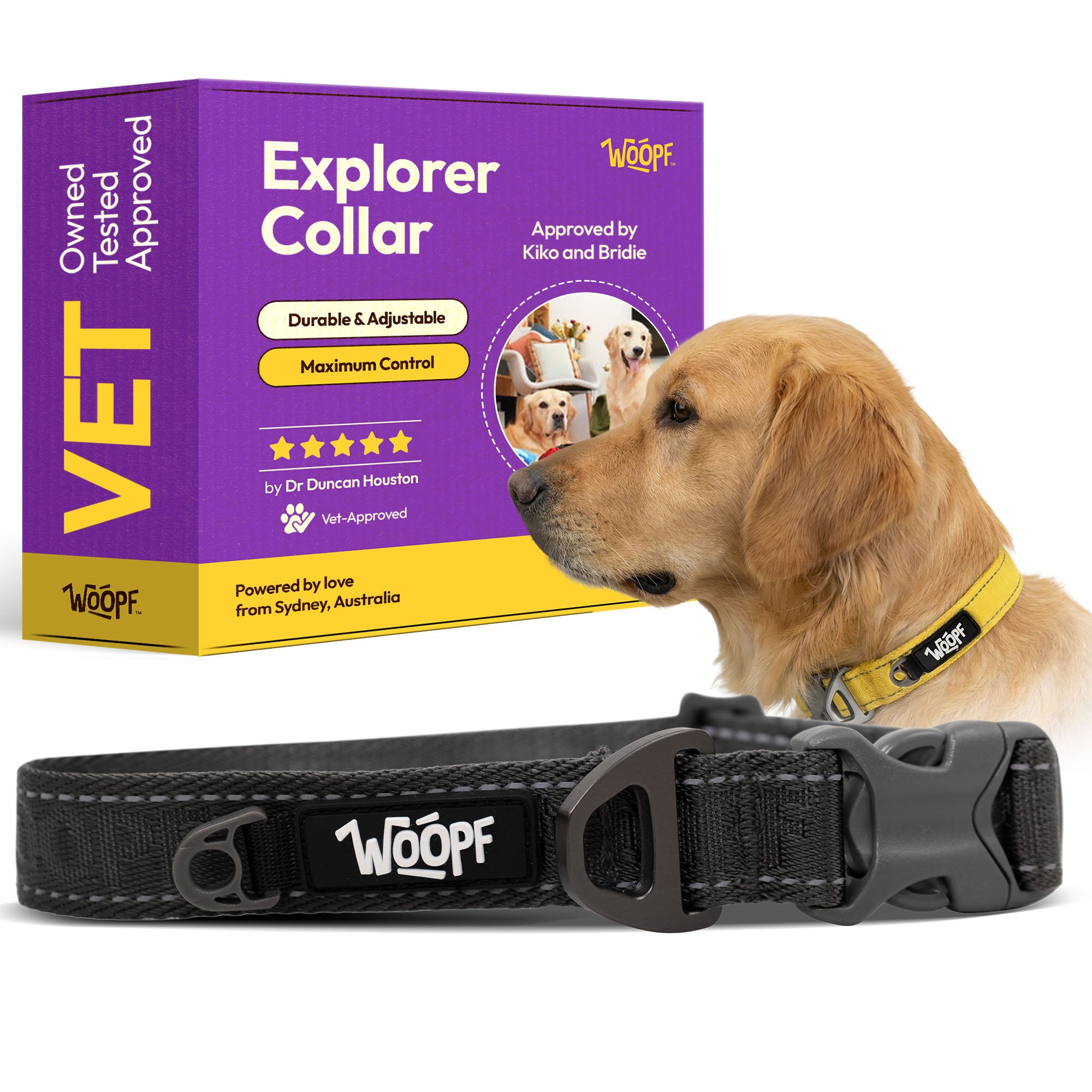 Explorer Collar
