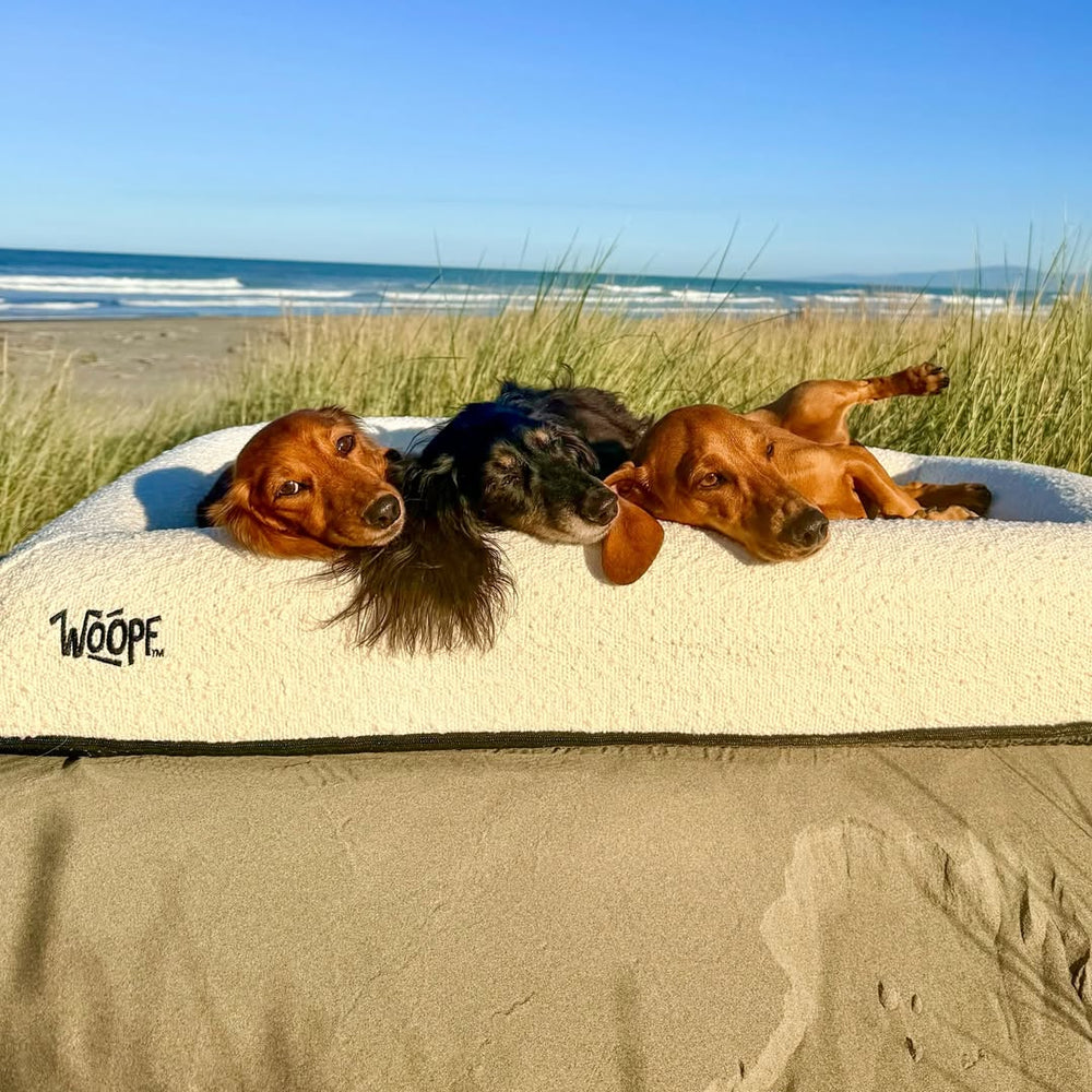 SNÜZ Vet Orthopedic Bed, Cream