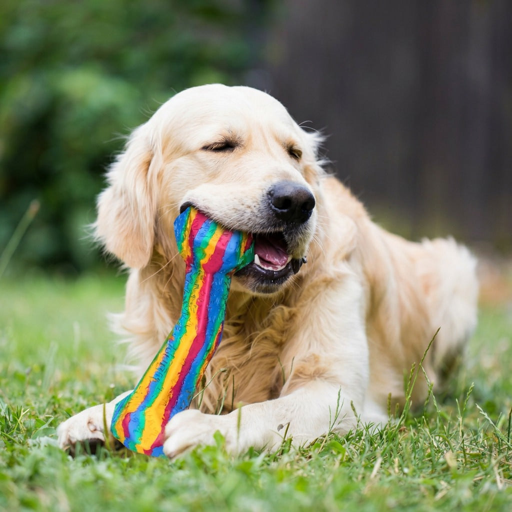 RainBone Dog Chew Toy - Celebrating Pride & The LGBTQ+ Community 🌈