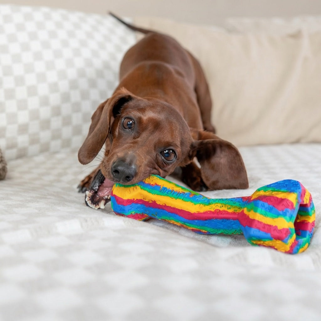 RainBone Dog Chew Toy - Celebrating Pride & The LGBTQ+ Community 🌈