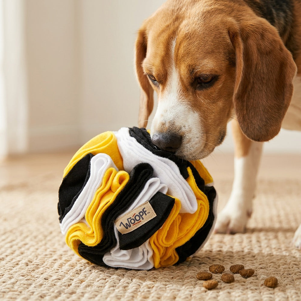 Sniff & Snuffle Bundle, Bumble Bee