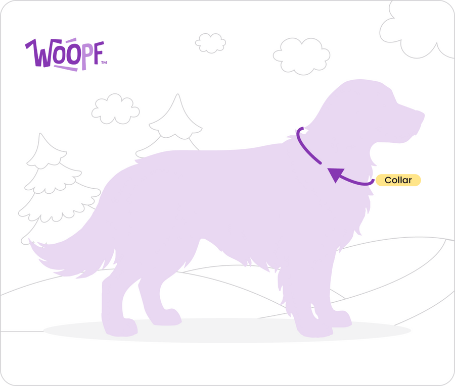 Size Guide for Sealskin Waterproof Collar