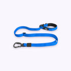 Blue | Explorer Adjustable Leash: The Blue lead on its own on a pale lavender background