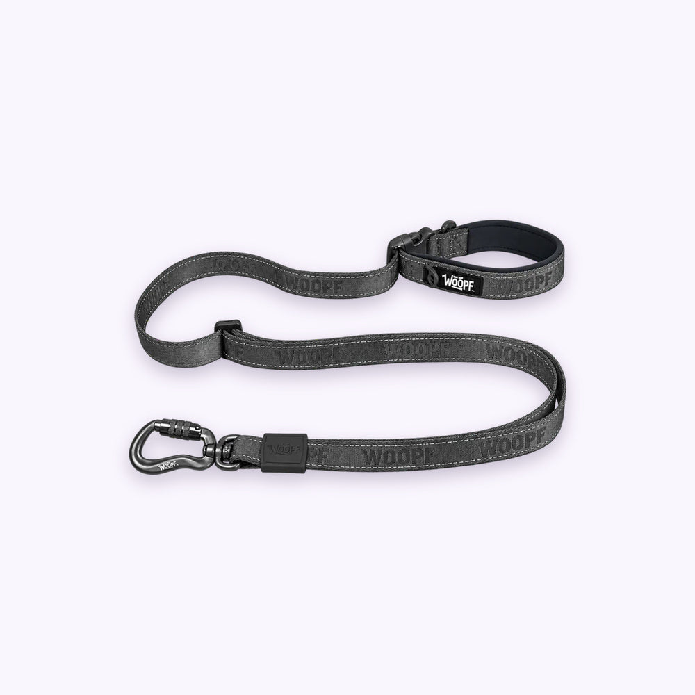Explorer Adjustable Leash: The Grey lead on its own on a pale lavender background