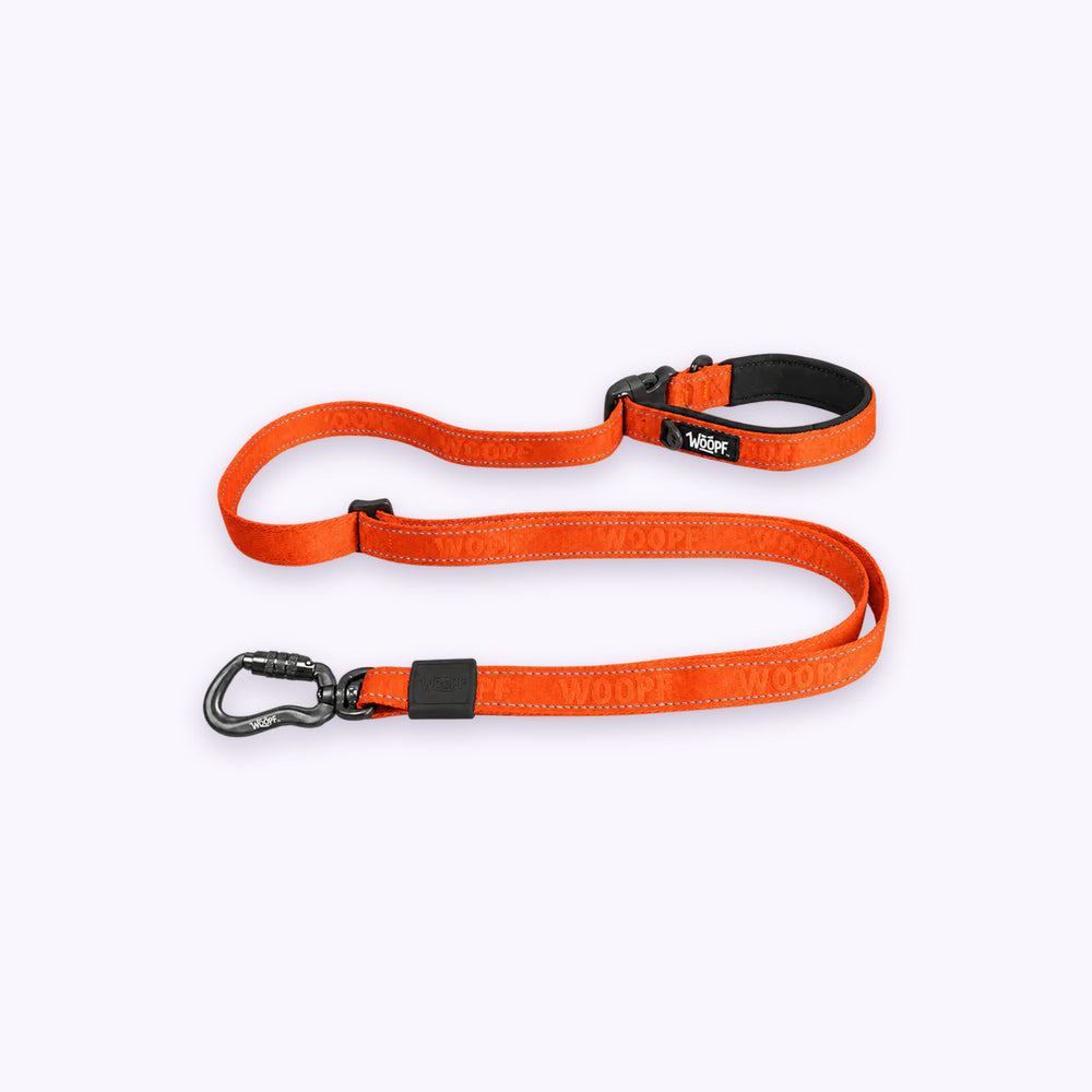 Explorer Adjustable Leash: The Orange lead on its own on a pale lavender background