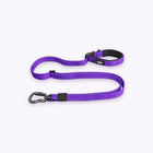 Purple | Explorer Adjustable Leash: The Purple lead on its own on a pale lavender background