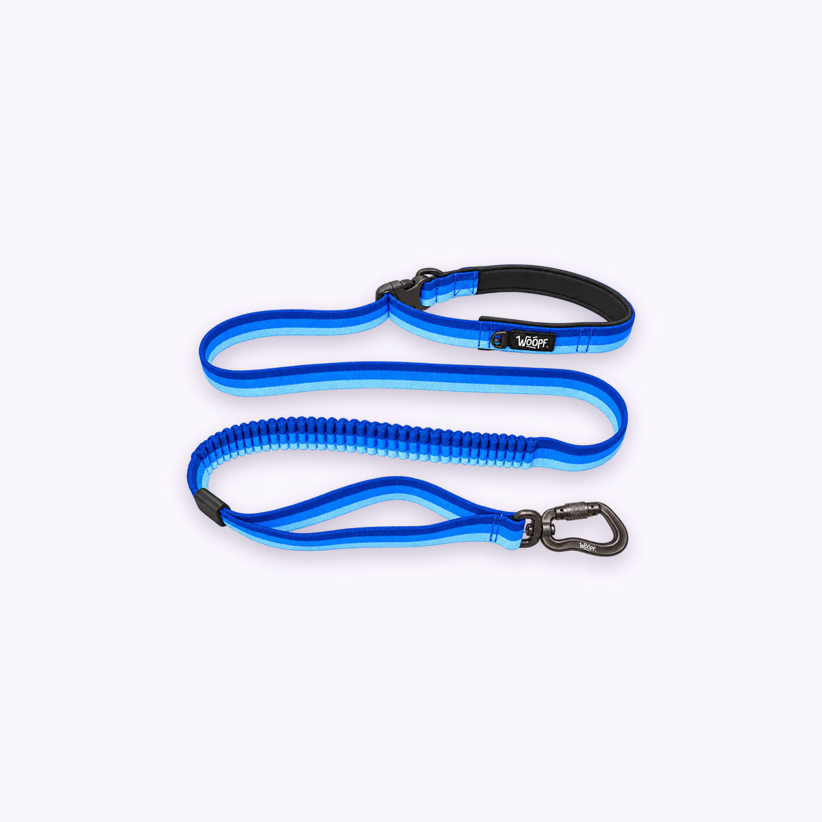Blue | Explorer Bungee Leash: The Blue lead on its own on a pale lavender background