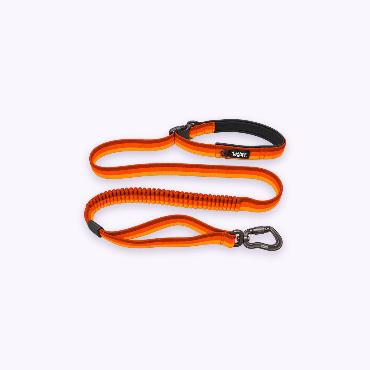 Explorer Bungee Leash: The Orange lead on its own on a pale lavender background