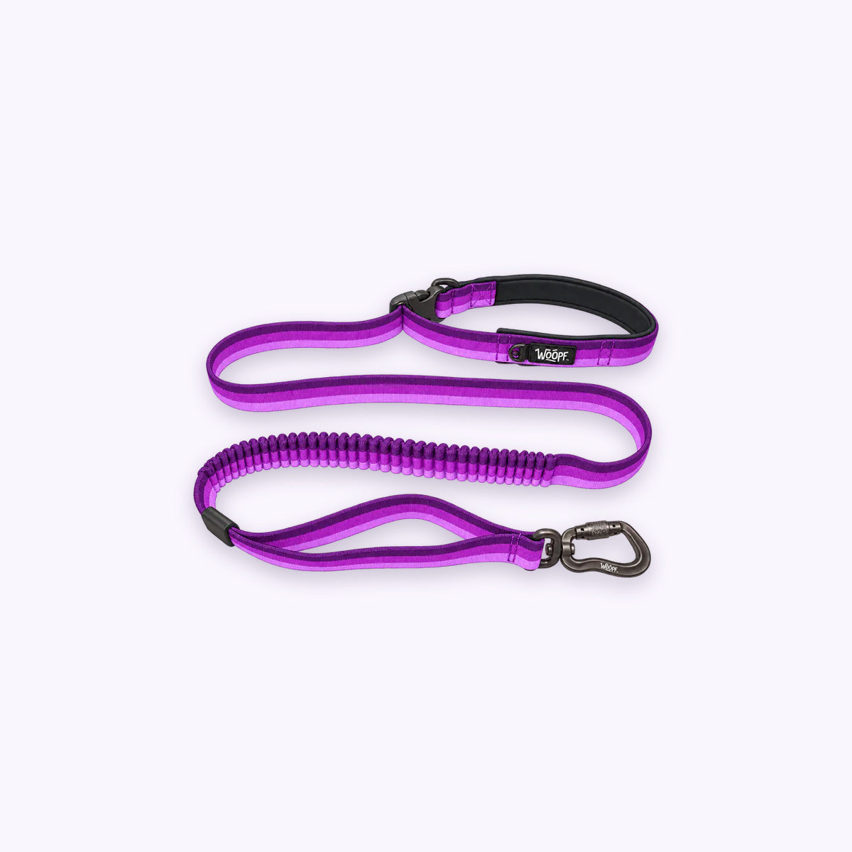 Purple | Explorer Bungee Leash: The Purple lead on its own on a pale lavender background