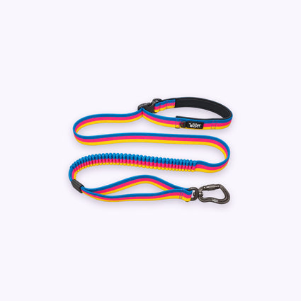 Explorer Bungee-Leine