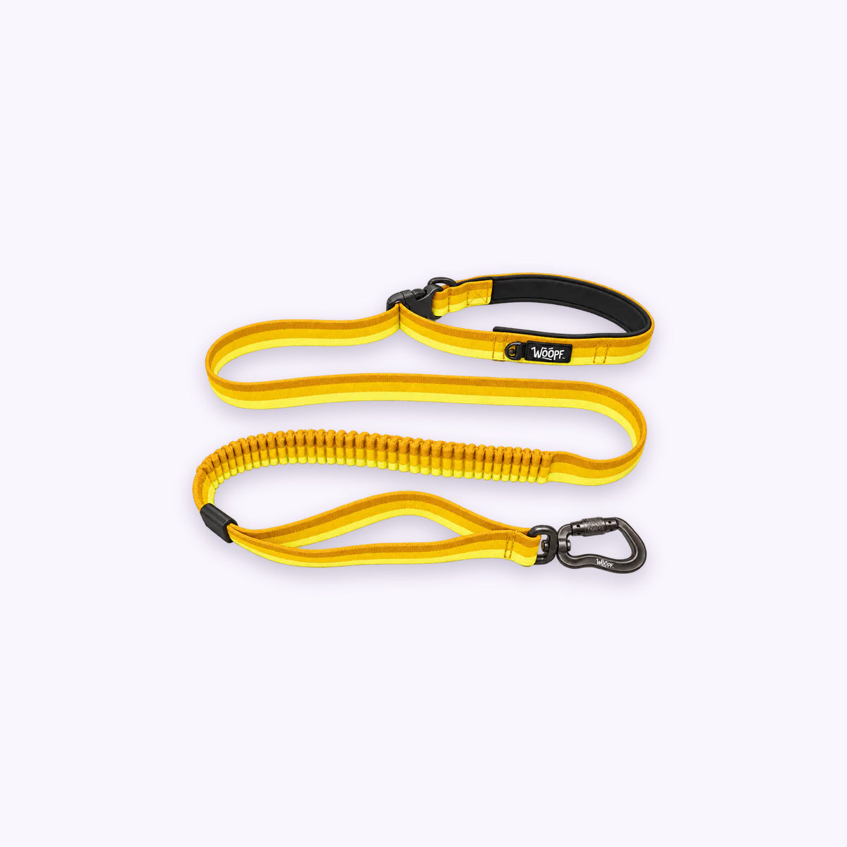 Yellow | Explorer Bungee Leash: The Yellow lead on its own on a pale lavender background