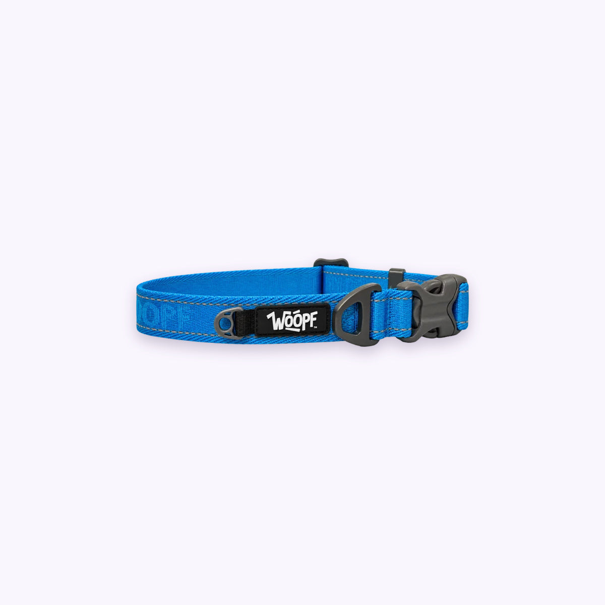 Explorer Collar: The Blue collar on its own on a pale lavender background