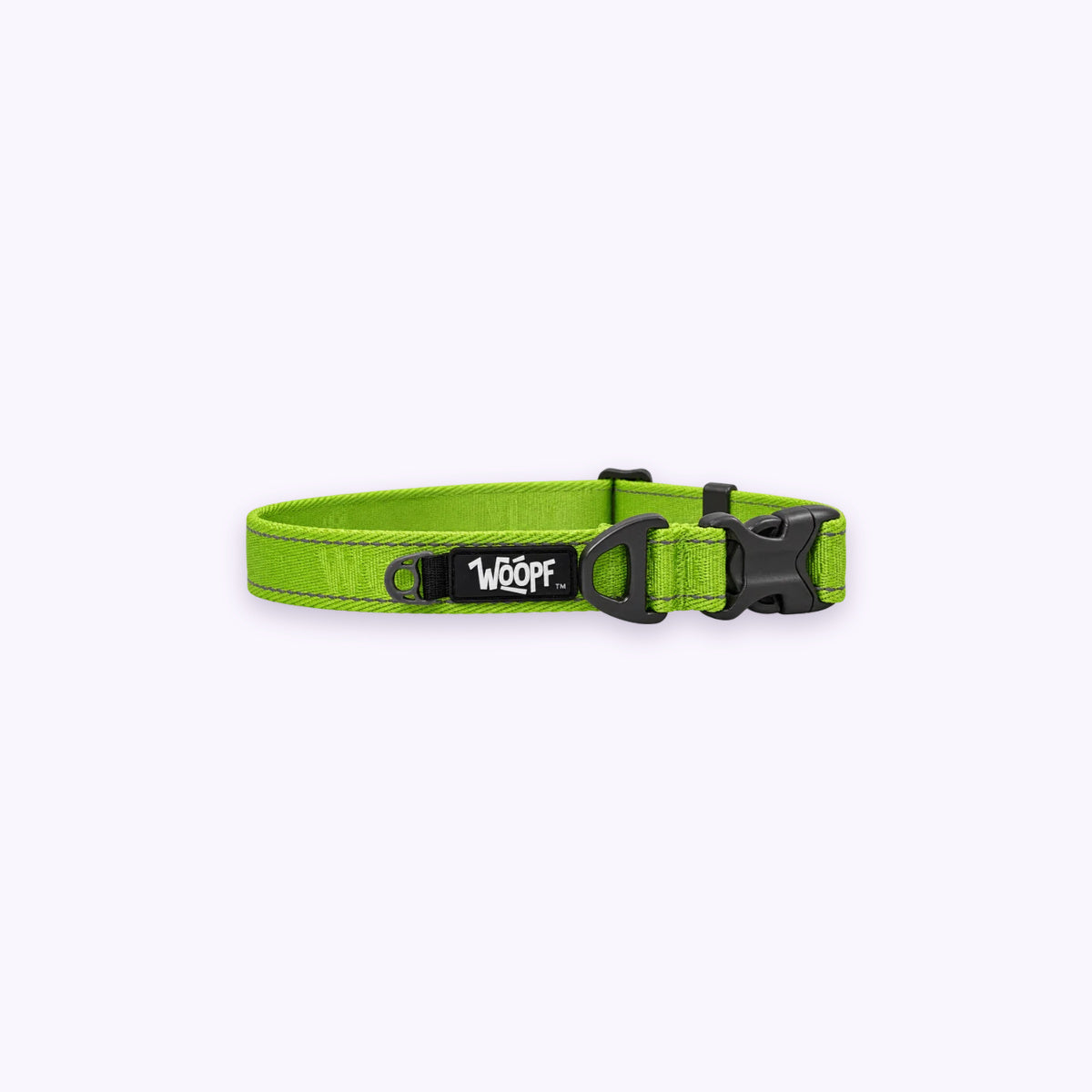 Green | Explorer Collar: The Green collar on its own on a pale lavender background