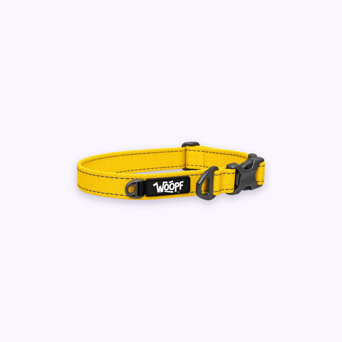 Yellow | Explorer Collar: The Yellow collar on its own on a pale lavender background