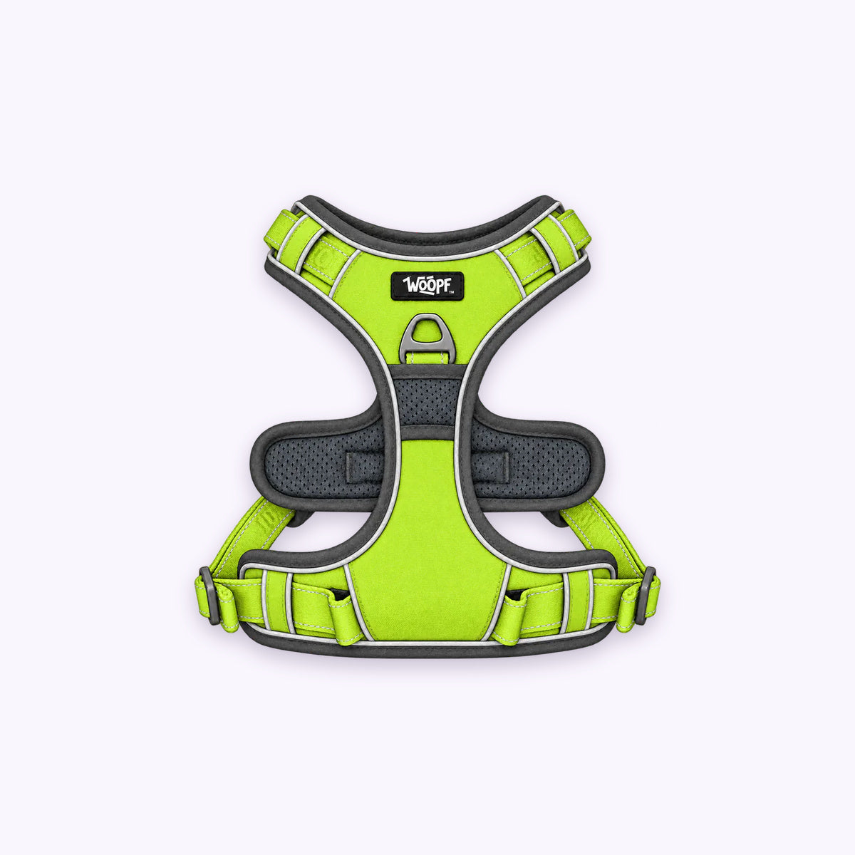 Explorer Harness: The Green harness on its own on a pale lavender background