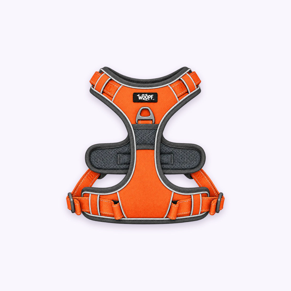 Explorer Harness: The Orange harness on its own on a pale lavender background