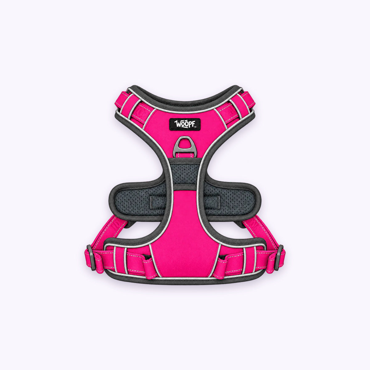 Explorer Harness: The Pink harness on its own on a pale lavender background