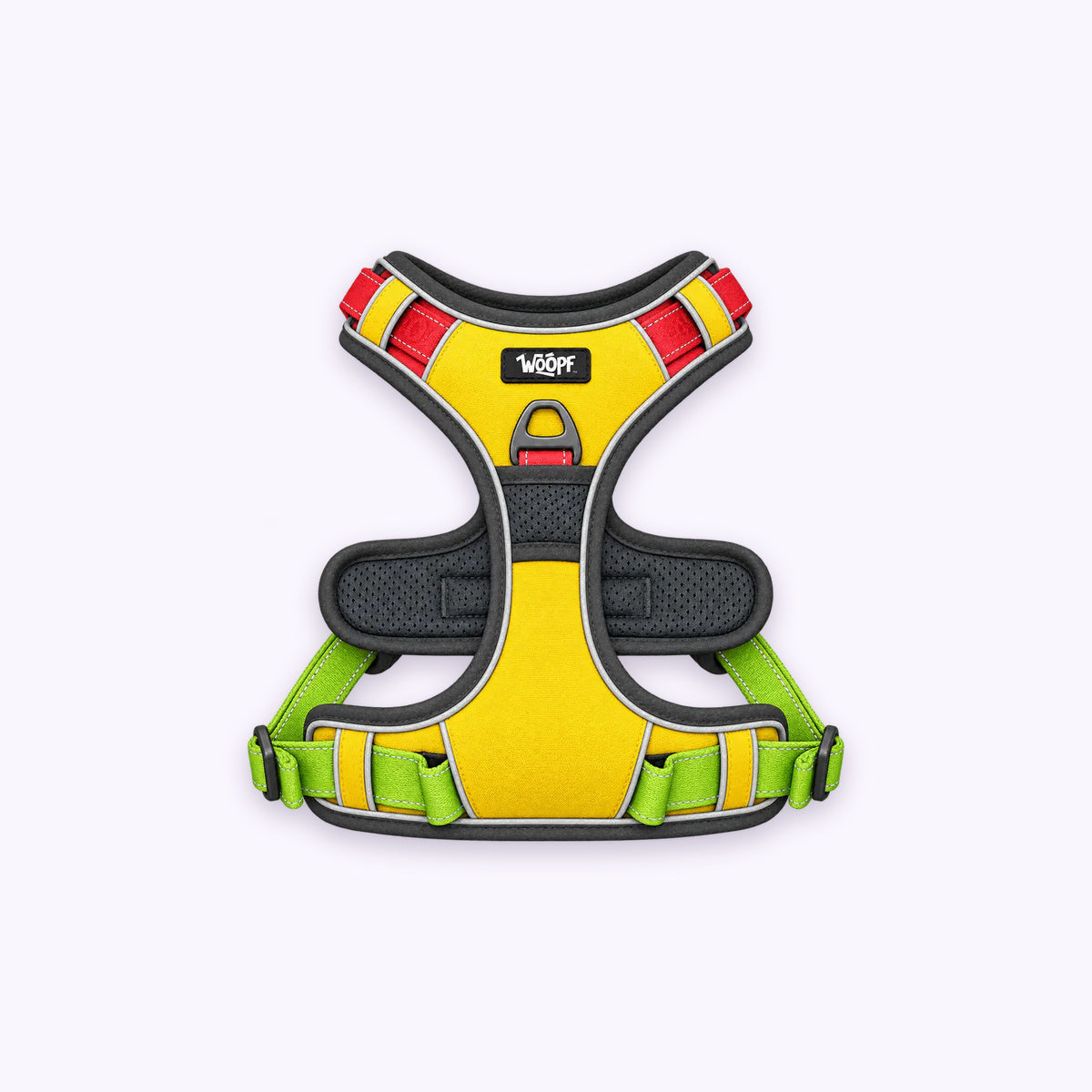 Explorer Harness: The Rainbow harness on its own on a pale lavender background