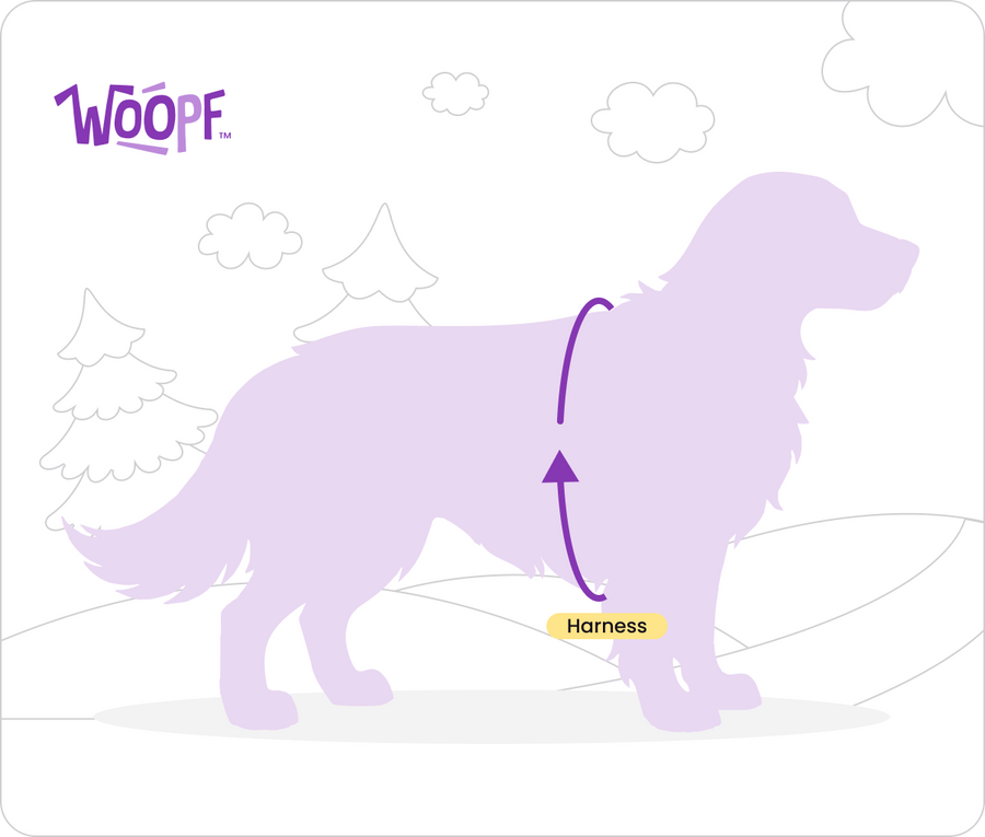 Size Guide for Explorer Harness
